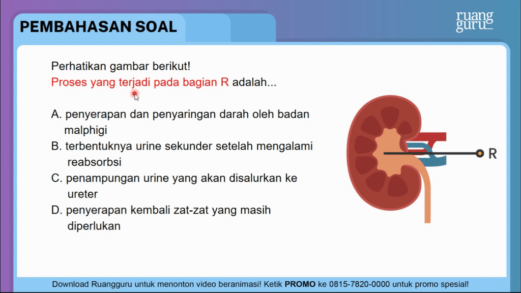 Perhatikan Gambar Berikut! Proses Yang Terja...