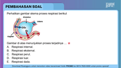 Pembahasan