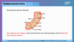 Pembahasan