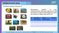 Pembahasan