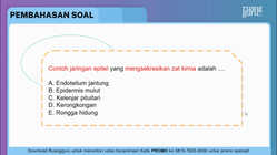 Pembahasan