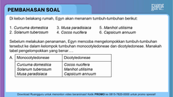 Pembahasan