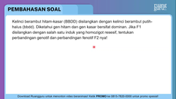 Pembahasan