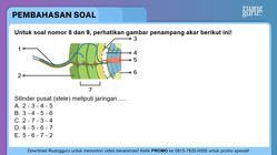 Pembahasan