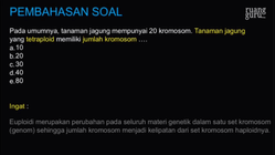 Pembahasan