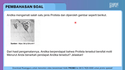 Pembahasan