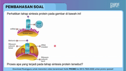 Pembahasan