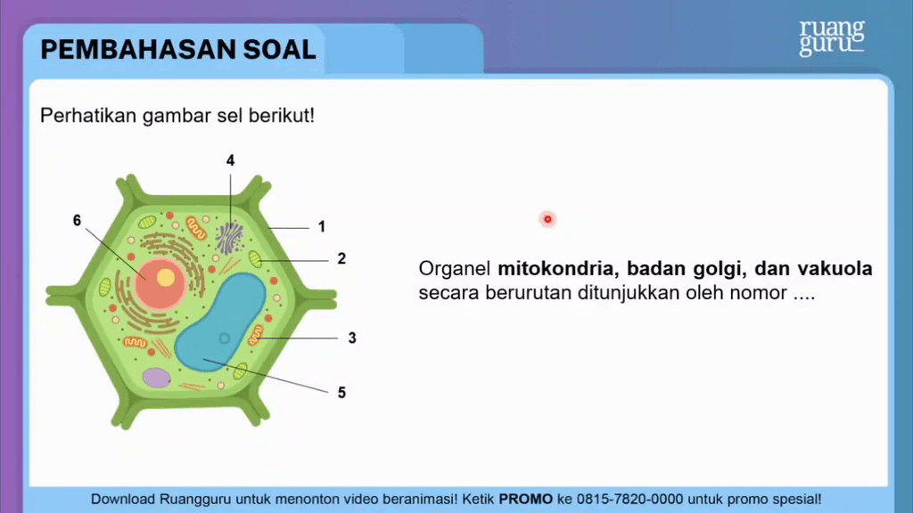 Perhatikan Gambar Sel Berikut! Organel Mi...