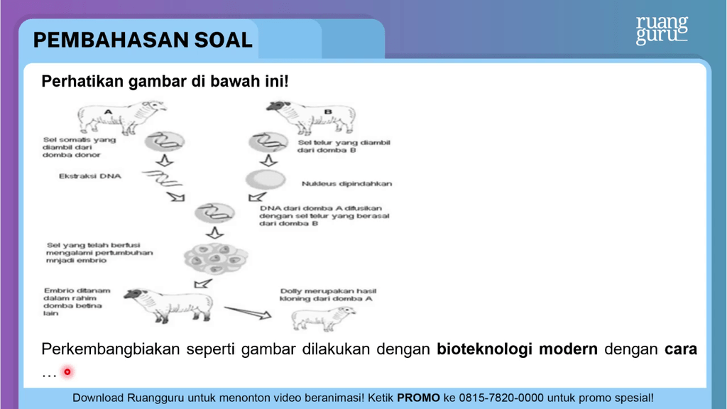 Perhatikan Gambar Di Bawah Ini! Perkembangbi...