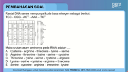 Pembahasan