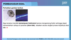 Pembahasan