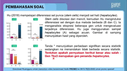 Pembahasan