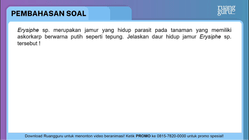 Pembahasan