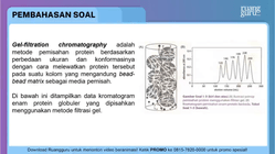 Pembahasan