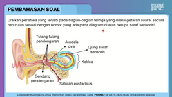 Pembahasan