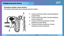 Pembahasan