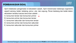 Pembahasan