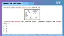 Pembahasan