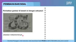 Pembahasan