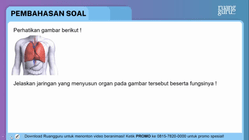 Pembahasan