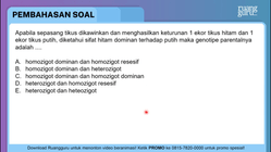 Pembahasan