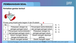 Pembahasan