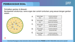 Pembahasan