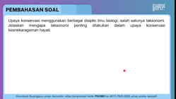 Pembahasan