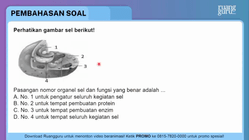 Pembahasan