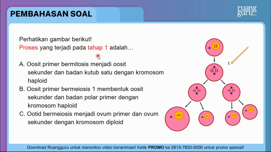 Perhatikan Gambar Berikut! Proses Yang Terja...