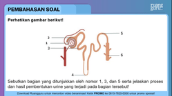 Pembahasan