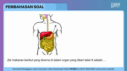 Pembahasan