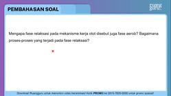 Pembahasan