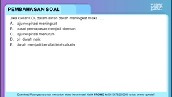 Pembahasan
