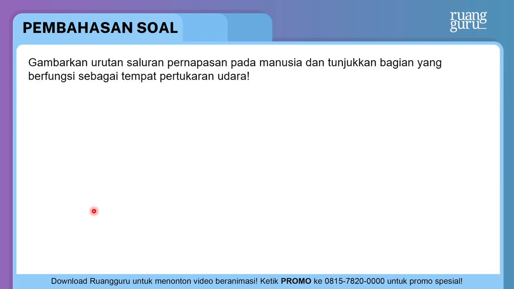 Gambarkan Urutan Saluran Pernapasan Pada Manusia D...