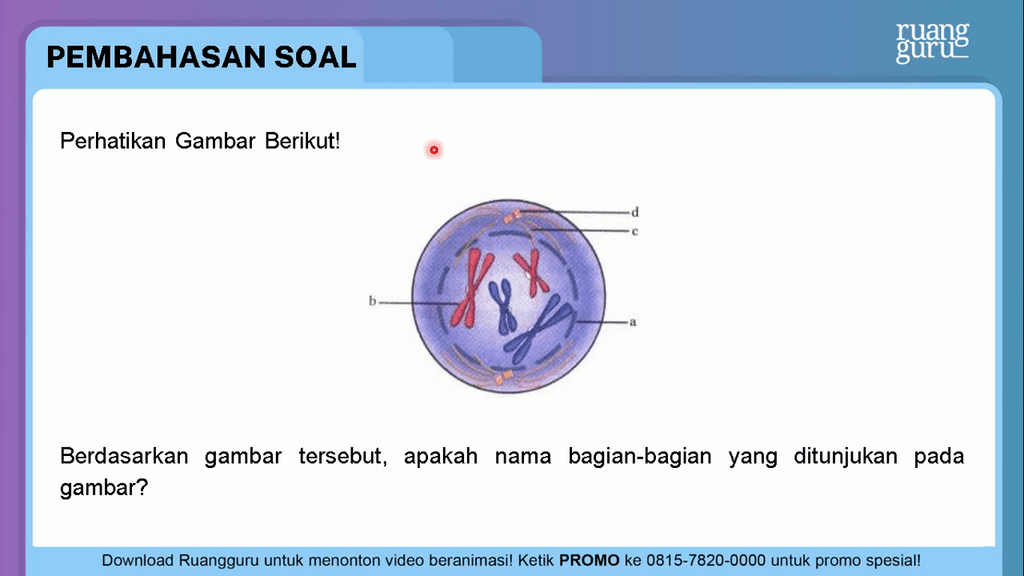 Perhatikan Gambar Berikut! Berdasarkan Ga...