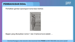 Pembahasan
