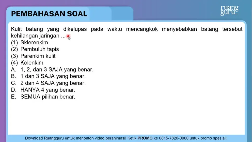 Kulit Batang Yang Dikelupas Pada Waktu Mencangkok ...