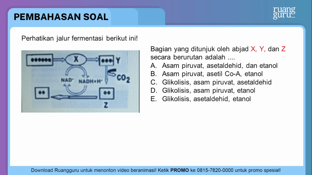 Perhatikan Jalur Reaksi Fermentasi Berikut – Brain