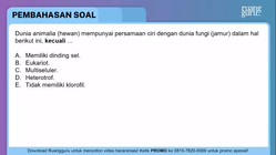 Pembahasan