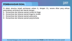 Pembahasan