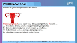 Pembahasan