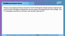 Pembahasan
