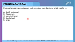 Pembahasan