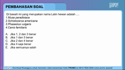 Pembahasan