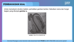 Pembahasan