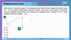Pembahasan