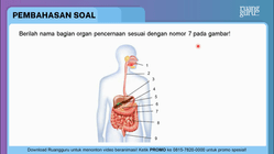 Pembahasan