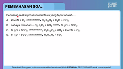 Pembahasan