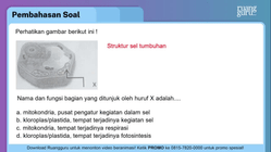 Pembahasan